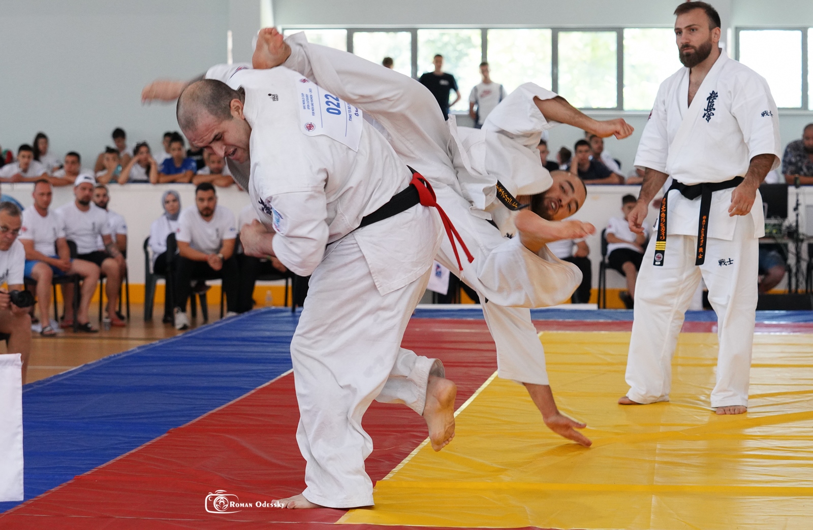 How does Kyokushin karate compare to Shotokan karate? Time to be United!